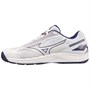 Кроссовки волейбольные MIZUNO Cyclone Speed 4, мужские 58722 - фото 1393331