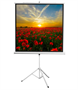 96" Экран для проектора Digis Kontur-D DSKD-1104 02830965269 - фото 1408630