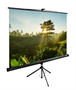 Экран Cactus TriExpert CS-PSTE-200x200-BK, 200х200 см, 1:1, напольный черный oz0ynPLggeozswQ7JQcUE3 - фото 1409267