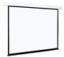 Экран Cactus 180x180 Wallscreen CS-PSW-180x180 1:1, настенно-потолочный, рулонный 028309020 - фото 1409273