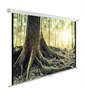 Экран Cactus WallExpert CS-PSWE-220x220-WT, 220х220 см, 1:1, настенно-потолочный 6ZjgR5jvhD2NB3qE4cCwA0 - фото 1409278