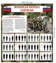 Стенд Военная форма одежды 028309071 - фото 1409599