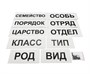 Модель-аппликация Классификация растений и животных 0283096599725 - фото 1411071