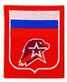 Шеврон «Триколор» 027579 - фото 1412222