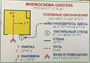 Мнемосхема санузла тактильная 200*300 мм. ПВХ - 3 мм. 02830885 - фото 1412507