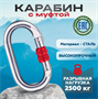 Карабин альпинистский 2500 кг 0283095842 - фото 1413340 Карабин альпинистский 2500 кг 0283095842 - фото 1413340