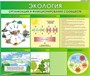 Стенд Экология. Организация и функционирование сообществ 1200 х 1000 мм пластик 3 мм 1 карман А4 Э03