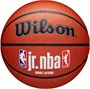 Мяч баскетбольный Wilson JR. NBA Fam Logo Indoor Outdoor 31660