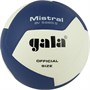 Мяч волейбольный GALA Mistral 12, размер 5 31697