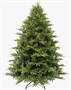 Ель Крымская 300 0283095945 - фото 1421479