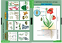 Учебный альбом «Общее знакомство с цветковыми растениями» (2) 02830692