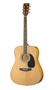 LF-4111-N Акустическая гитара HOMAGE 026346
