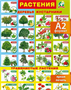 Настенный плакат для детей растения окружающий мир us9fgTchiu9l2sNDDFOsq0