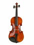 Скрипка ученическая Livingstone L-VP01 4/4 026351