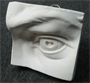 Гипсовая модель "Глаз человека" 026004