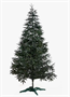 Ель Альпийская 210 0283096159 - фото 1433056