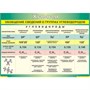 Обобщение сведений группах углеводородов, 100х140 см (Таблица, винил. Химия) В7-8581-001 GqLJ7ecciGB5vUFczBKKf2