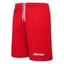 Шорты волейбольные MIKASA, мужские 38098