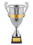 Кубок престижный 025896