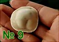 Формующий узел пельменного аппарата Roal Meat QT-100 №3 (полумесяц, ребр. края, 5х2,7см, 12-14гр) Формующий узел пельм - фото 294639 Формующий узел пельменного аппарата Roal Meat QT-100 №3 (полумесяц, ребр. края, 5х2,7см, 12-14гр) Формующий узел пельм - фото 294639